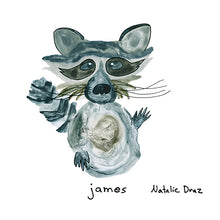 Load image into Gallery viewer, James the Raccoon - MAGNET