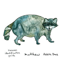 Load image into Gallery viewer, Matthew the Raccoon - MAGNET