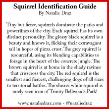 Load image into Gallery viewer, Grey Squirrel with Heart - ART PRINT