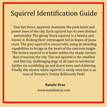 Load image into Gallery viewer, Noah the Brown Squirrel - MAGNET