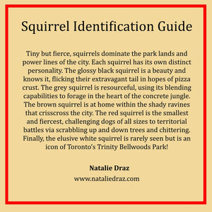 Emma the Squirrel - MAGNET